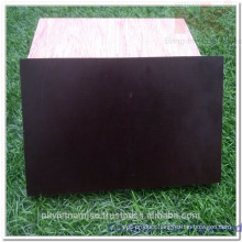 12mm Acacia Film Faced Plywood From NK VIETNAM